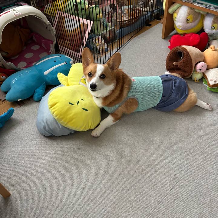 Fefdbd74 fc53 44db 837e 9451f5593fda 1758234147709