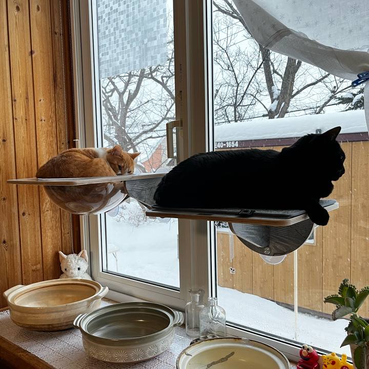 Fefddcfe be9d 4e84 9983 505faf42cad8 1703981781317