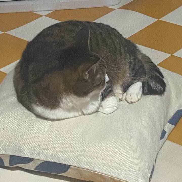 Fefdede2 920c 4922 9a9a ebb60dedb1b1 1717787271389