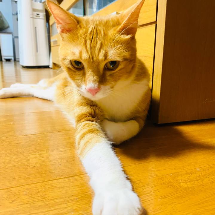 Fefdee17 de1a 45bd 87a6 4a7a19f07fd9 1659737450562