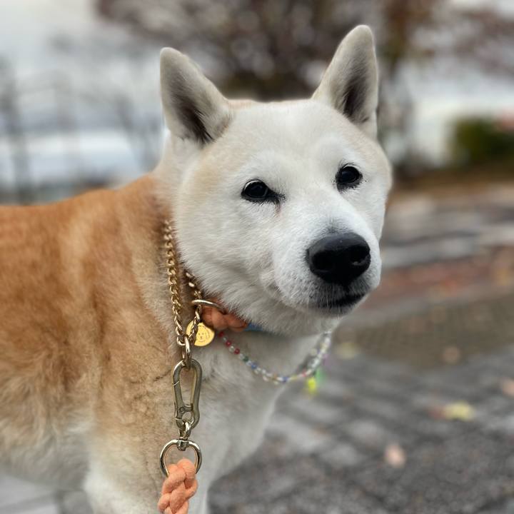 Fefdfb91 62f6 4d2b 9f1b 53161e66c6af 1669799608473