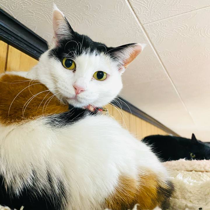 Fefe0aef 2399 4ef0 8879 163ac0b5b23b 1739114756589