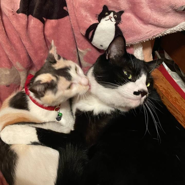 Fefe4928 ec7a 4125 b82a 48662326c5ba 1731320962117