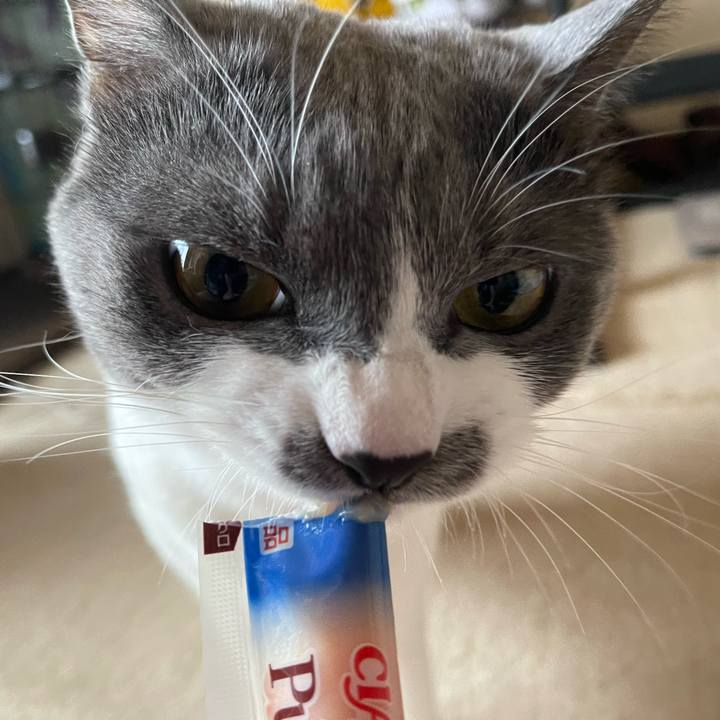 Fefe5773 0d7b 4426 a97e 4c211309f837 1660377451445