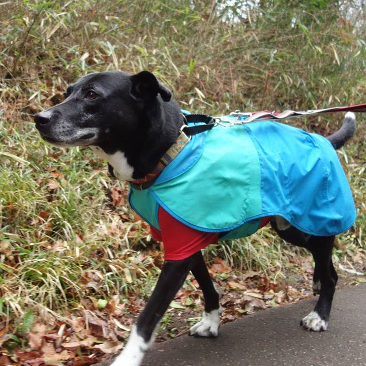 Fefe69c2 986c 47f0 b591 7348faff94a6 1708474805165