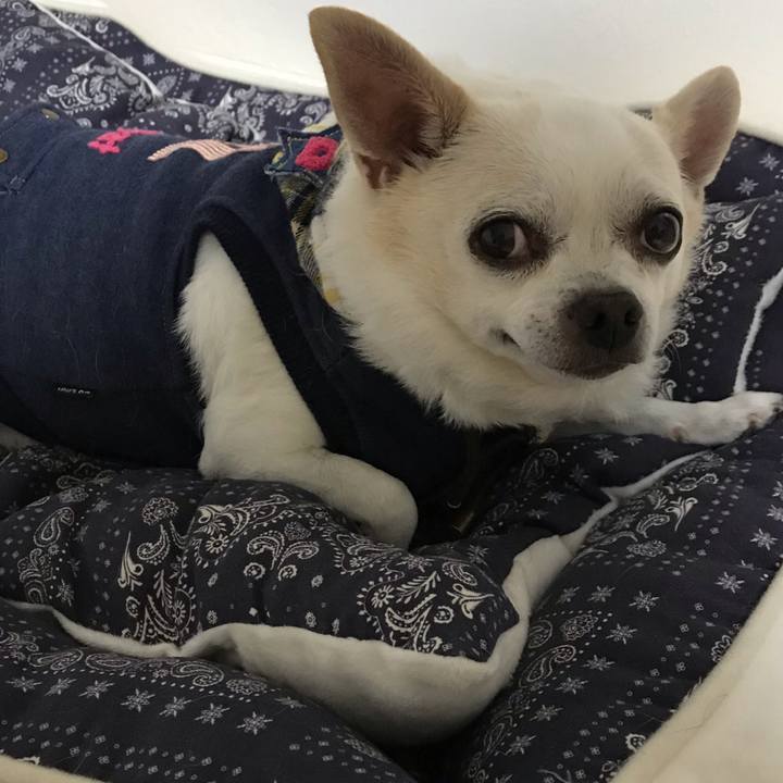 Fefe713f 4b29 4ecb 8c03 a2b0ba9b58f6 1580566903965