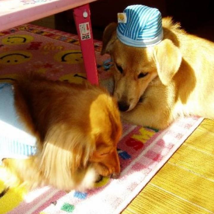 Fefe7b83 de59 4d23 b61f 7eece019638f 1605267482387