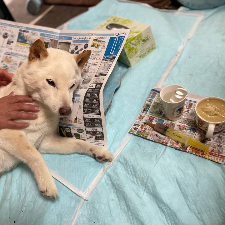 Fefe847c 1feb 4952 85a1 917bf13d155a 1653480535067