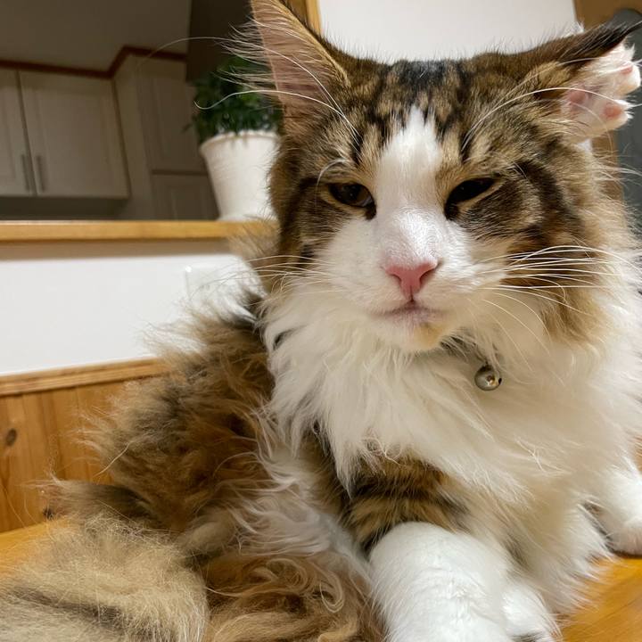 Fefe88d5 ba3c 4440 ba7e 8739770fa215 1643191815015