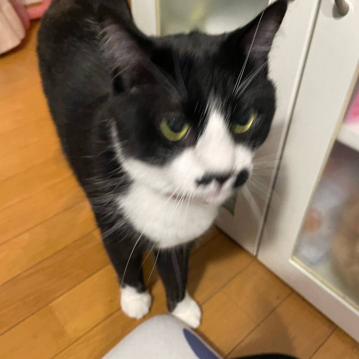 Fefe907a 36ed 4535 a893 6f2befe0e847 1654693208474