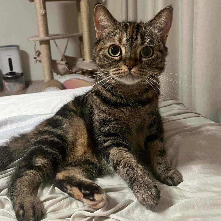 Fefeb341 9ebd 4ab0 9dfa 4a39da082021 1734788793518