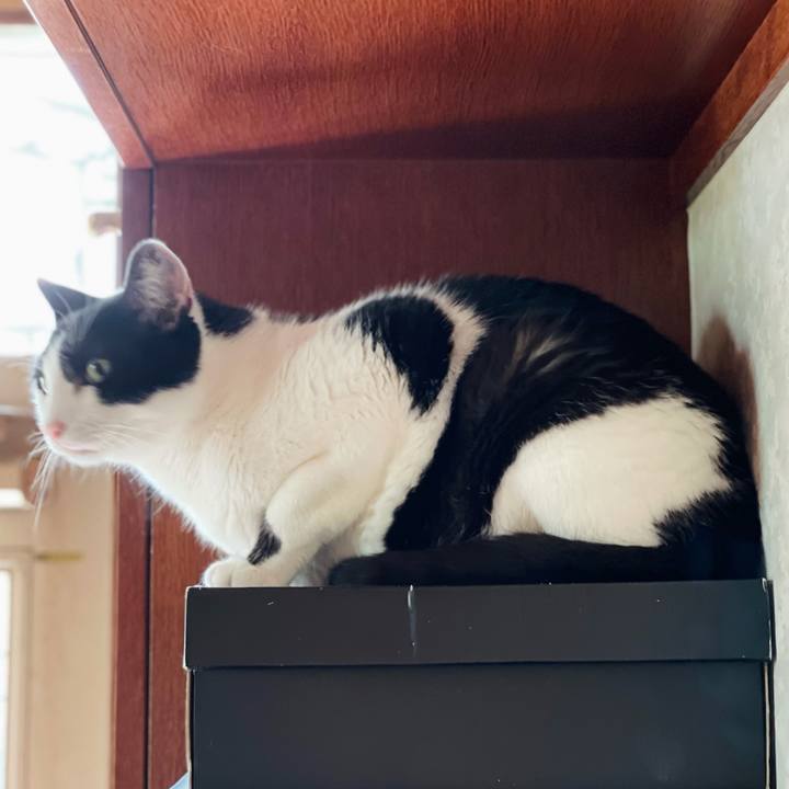 Fefed79c 4383 488a b5c2 09ada4ff55f5 1628039279468