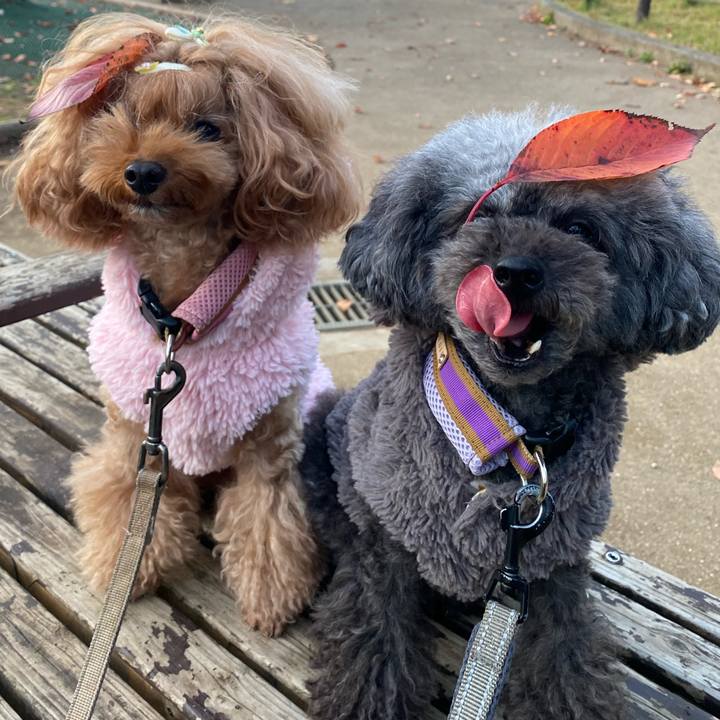 Feff269f 8686 464d a0c7 53e31db5a912 1636504385908