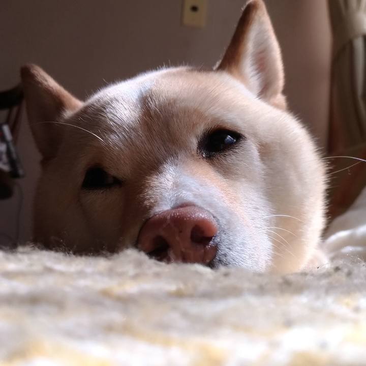 Feff4d0c 3d89 4ea2 84f4 eff83c4eb0e0 1555149198206