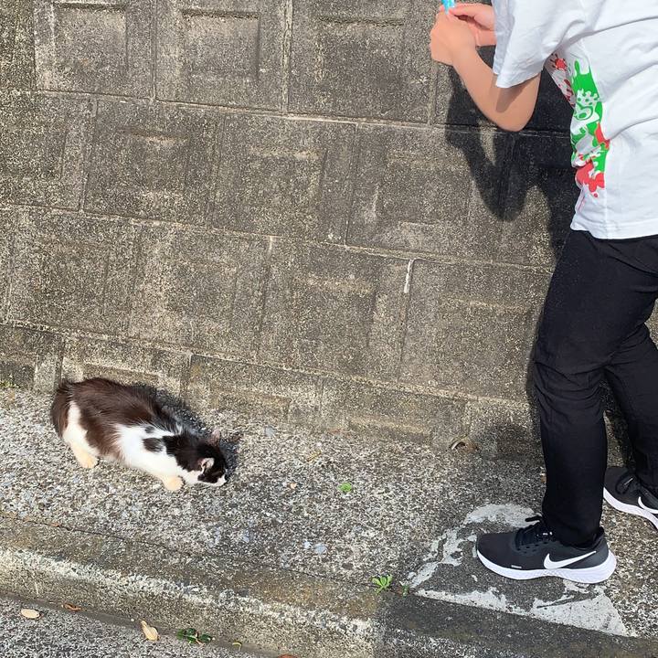 Feff60e6 ea58 43f7 8127 04b7220f2e50 1622287383236