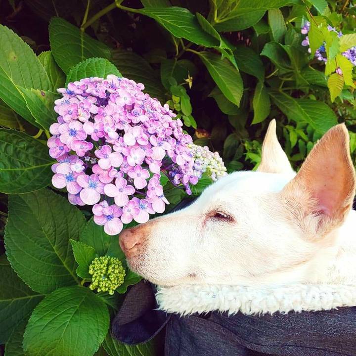 Feff7045 248e 4e6f b5fc 3cbedab09d89 1592693967833