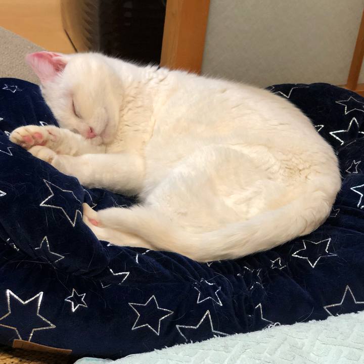 Feff7c34 7163 40dc b10c 005963c58702 1547466616940