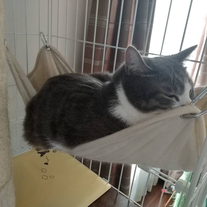 Feff89f0 8176 4a9e 9aaa 9d475238fe7a 1608432456744