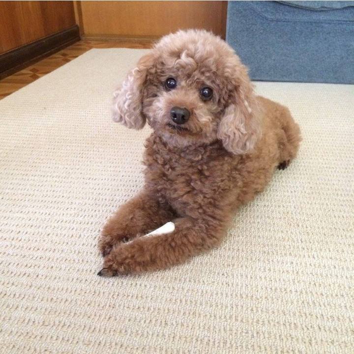 Feff9b37 201a 4338 9281 cbe557d9d33b 1583049403736