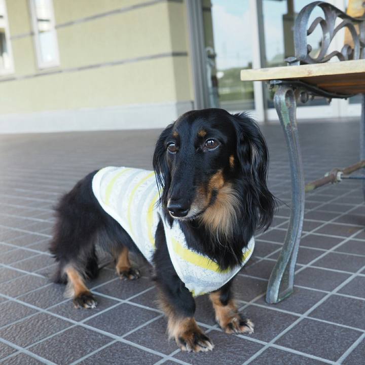 Feffae29 a5bd 4bb7 b206 2cdf4f422e01 1565782763034