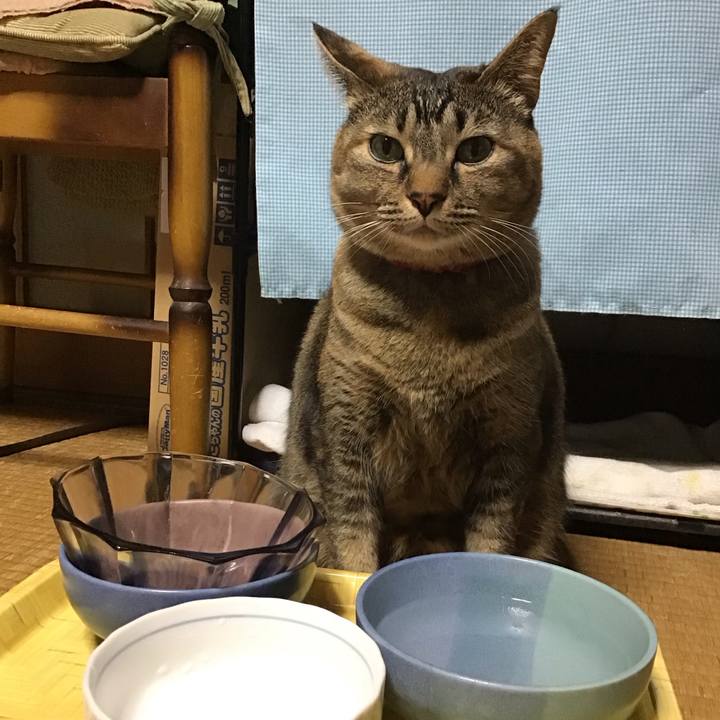 Feffd944 8014 489e a28e 658cad0a6fe7 1678706177791