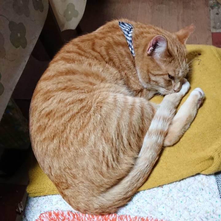 Feffdbd1 4db3 41da b6d7 92a6bed578bc 1571008475468