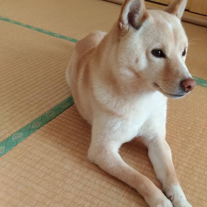 Ff001726 8242 40f0 be1c 8c430951f4e7 1550968132598