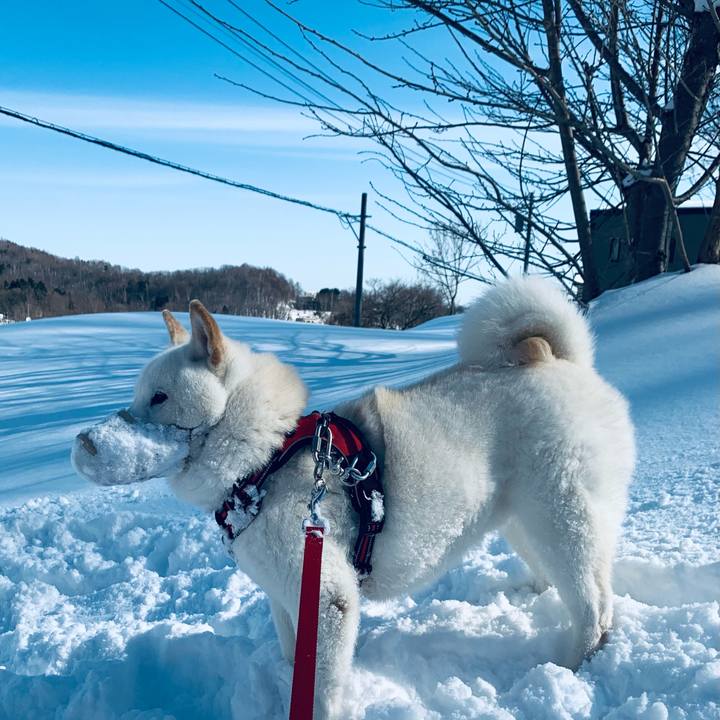 Ff006eaf 3892 41bb 9c25 6d88441e46b8 1613096461951