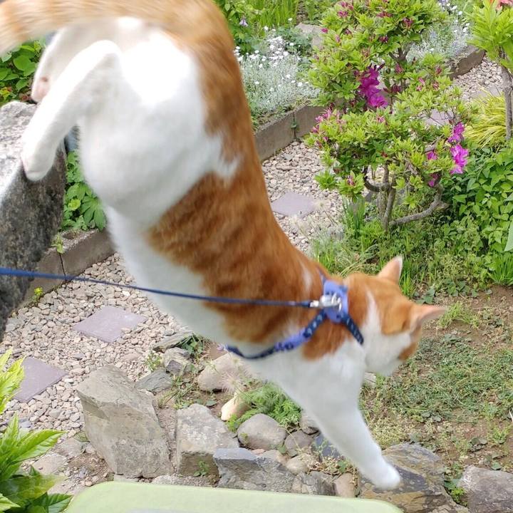 Ff00822b bdf5 4822 b824 a84918ddcc2c 1525597590674