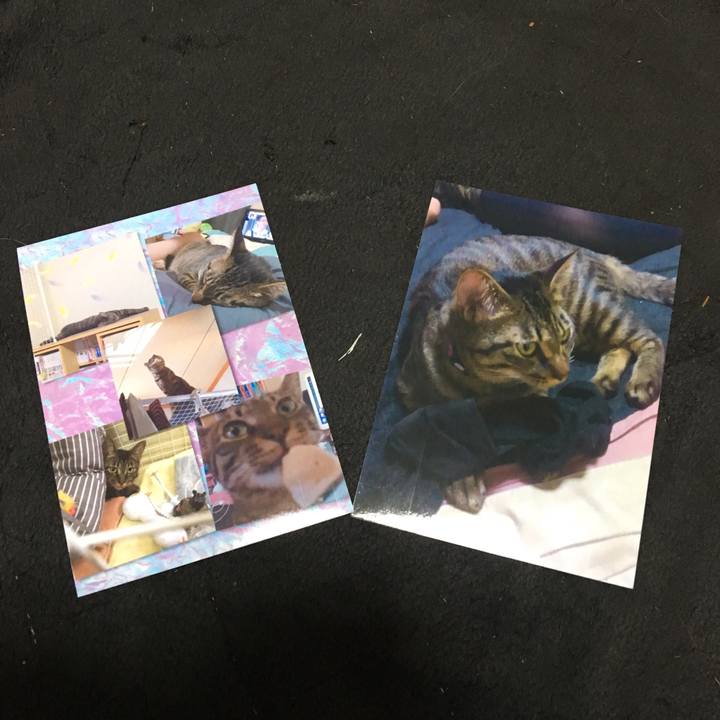 Ff009c52 5c33 4615 8357 e5027e26a4a0 1563252374621