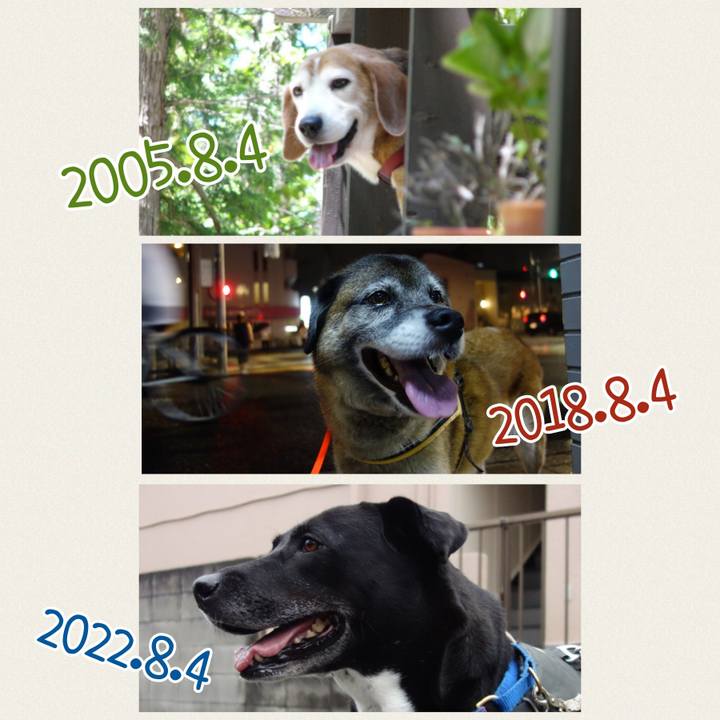 Ff00b11a 1001 4bdc 925f 90d2260ecaf9 1659569765917