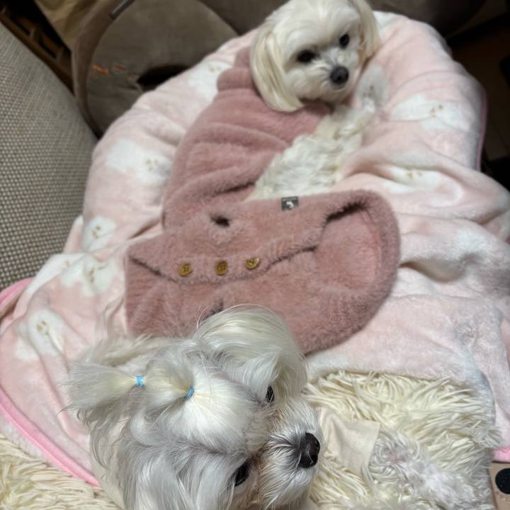 Ff010266 2082 4858 ba6c a6fbd6cc94ad 1736154371666