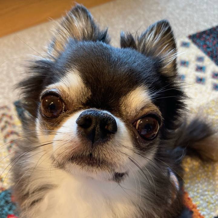 Ff0104e2 443d 417b aeea 444634cf5b45 1718497482362