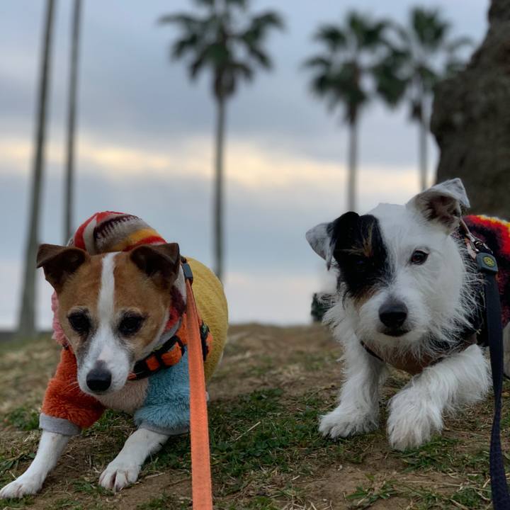 Ff011818 bfdf 4245 b867 953dd1dd12c8 1607742194171