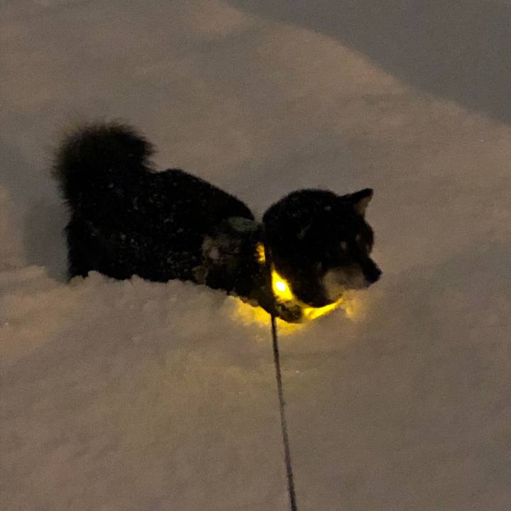 Ff0126ce f958 4686 8472 435a417d25ad 1577310422069