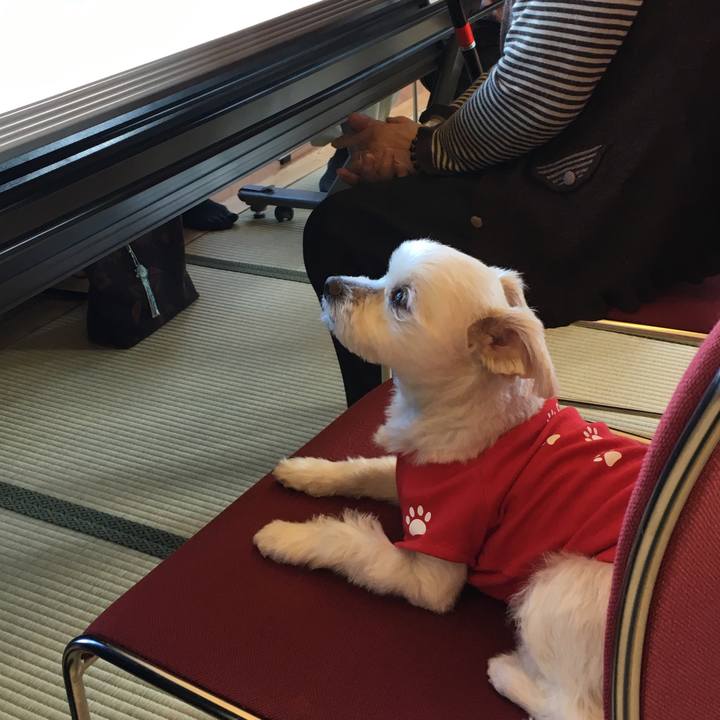 Ff015a5c 0810 40db aeb6 05c3c6b597de 1511487546931