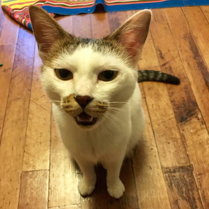 Ff016285 f9ea 4c0e a258 9be10a7af0b7 1510989423542