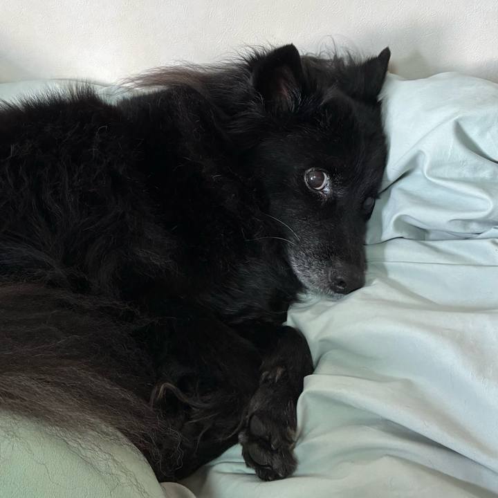 Ff016684 dae6 4390 ab0a b7b16e2ca75b 1764634226444