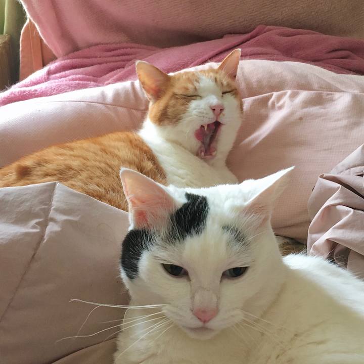 Ff01865f d3ae 4744 a51d aed44416a0a2 1616482977265