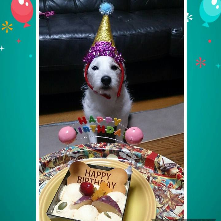 Ff018b9f 2d65 480f 94d4 d8d84ad95540 1514377066696