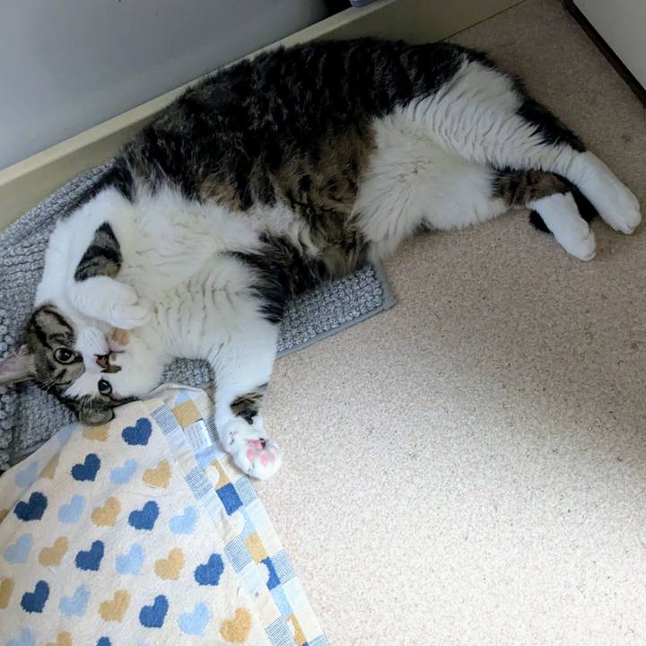 Ff01a7c5 dc16 4a67 ac5f 0c2492abb38c 1728210521906