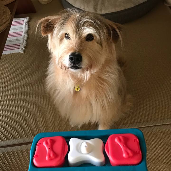 Ff01e735 29b0 4dd6 ad07 a6c15df48ed4 1586744327329