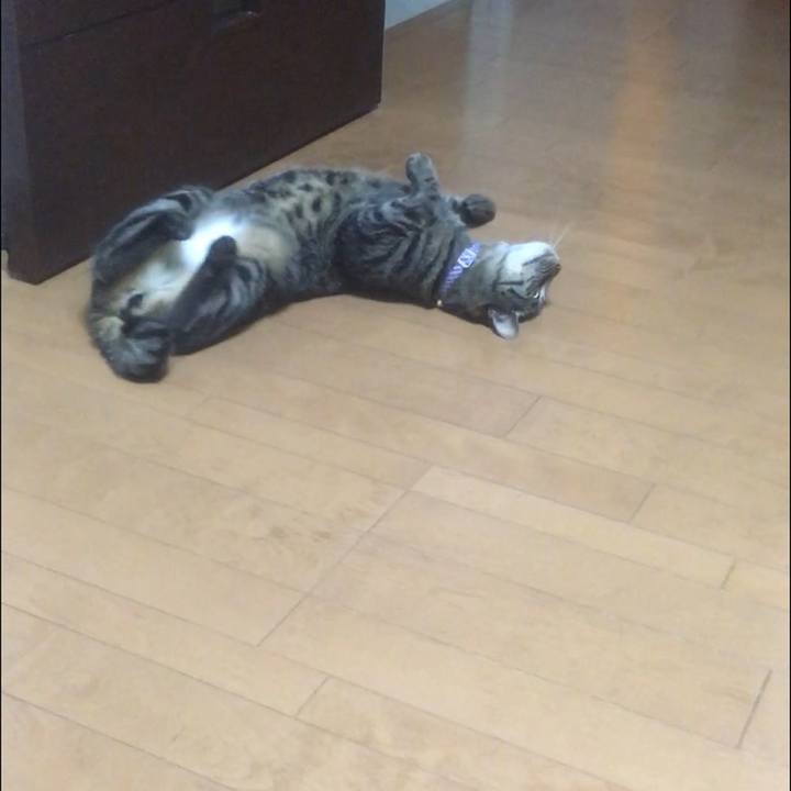 Ff01fda2 efe2 401d 928a ca504959274e 1592617167646