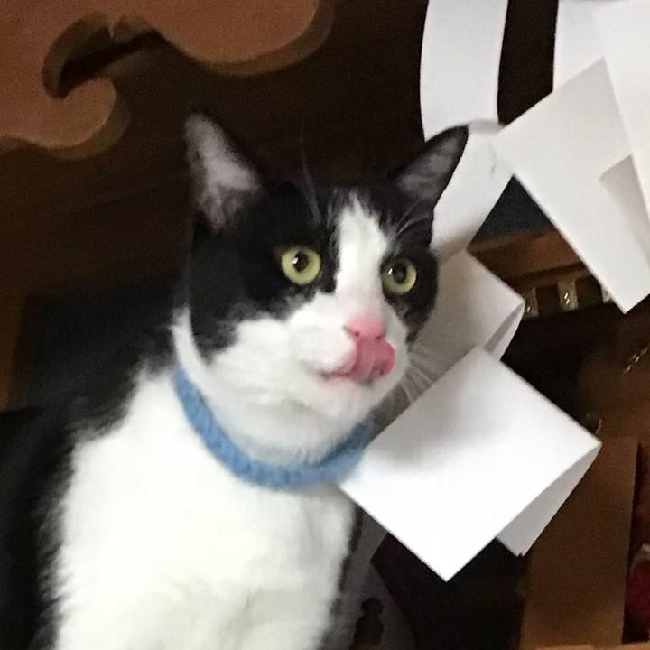 Ff023054 132f 4f3a bae2 00cb62554e11 1747450512935