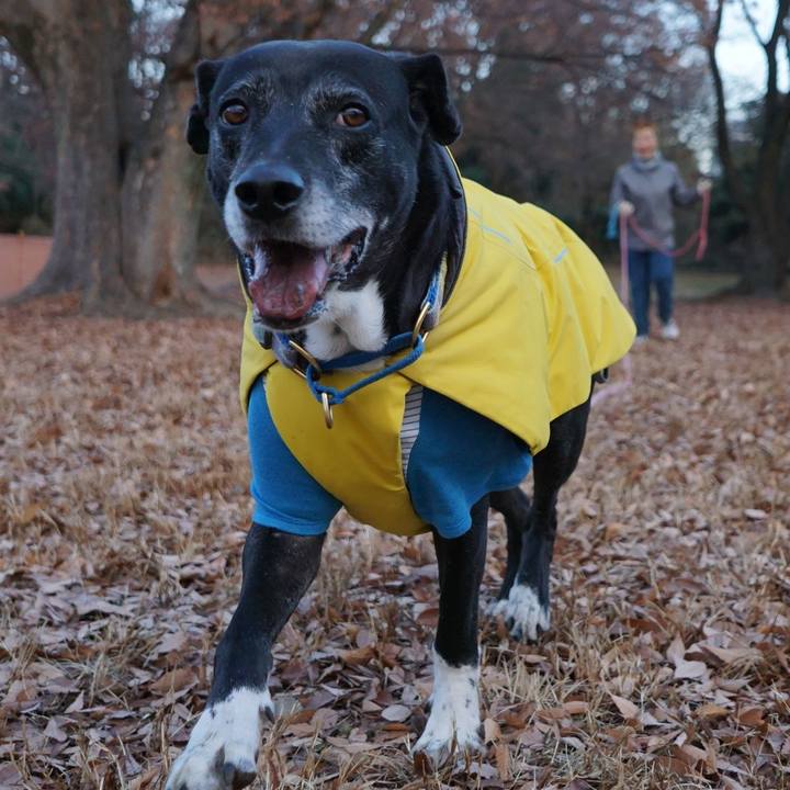 Ff024560 4bc8 4d61 ac49 b11380f502d6 1766104096221