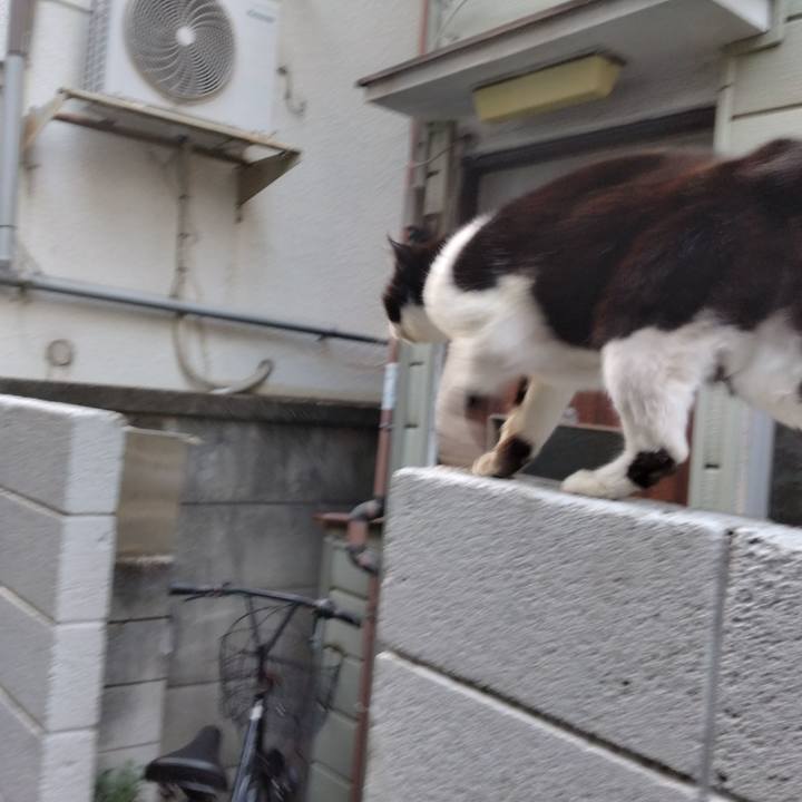 Ff0319f7 a9fb 4886 adcb 1f9e039ca199 1710413579185