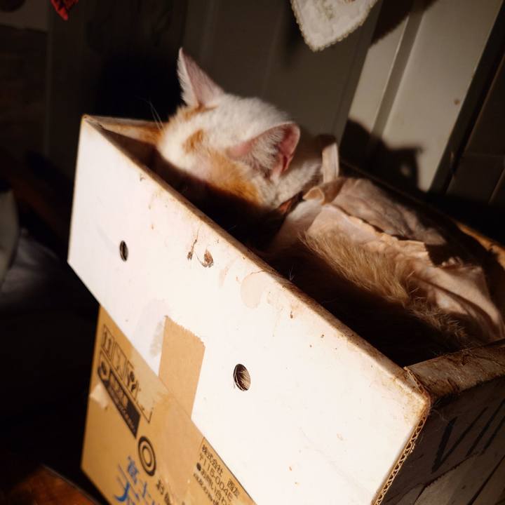 Ff0350cb 2d2f 4d0d 8eb0 66c94afc22d4 1758624811419