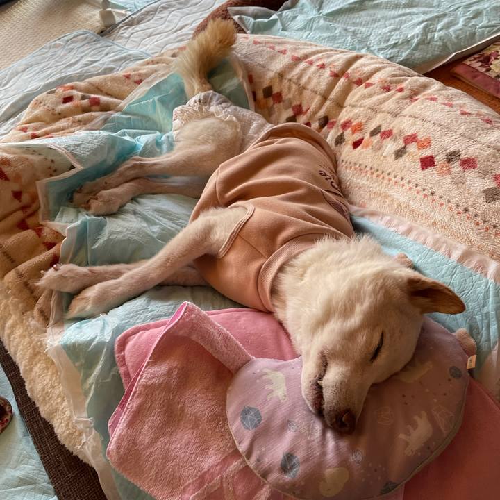 Ff036ba4 5112 4632 b3a4 f80bbf9837f3 1669975515608