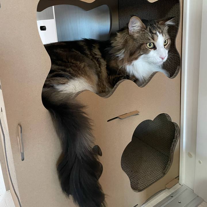 Ff03a9d1 812e 467d 81d0 efe287c6d522 1668117438905