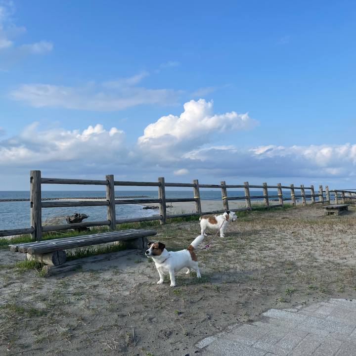 Ff03bbf7 b8e1 480d 96cf df4e38810606 1744068000972